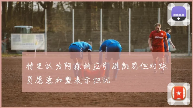 特里认为阿森纳应引进凯恩但对球员愿意加盟表示担忧